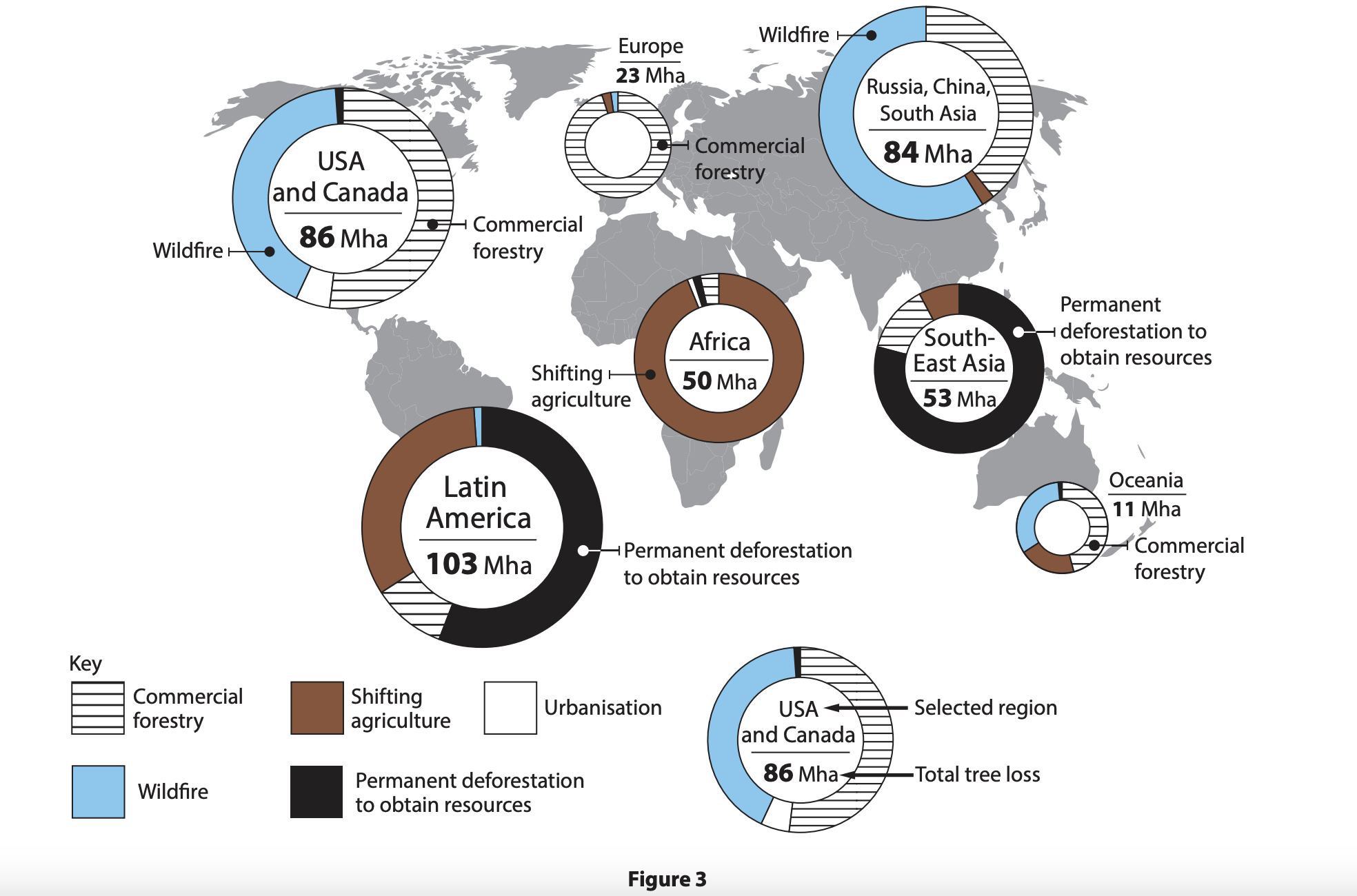 Reasons for deforestation (tree loss) measured in millions of hectares (Mha) for selected global regions, 2001–2020
