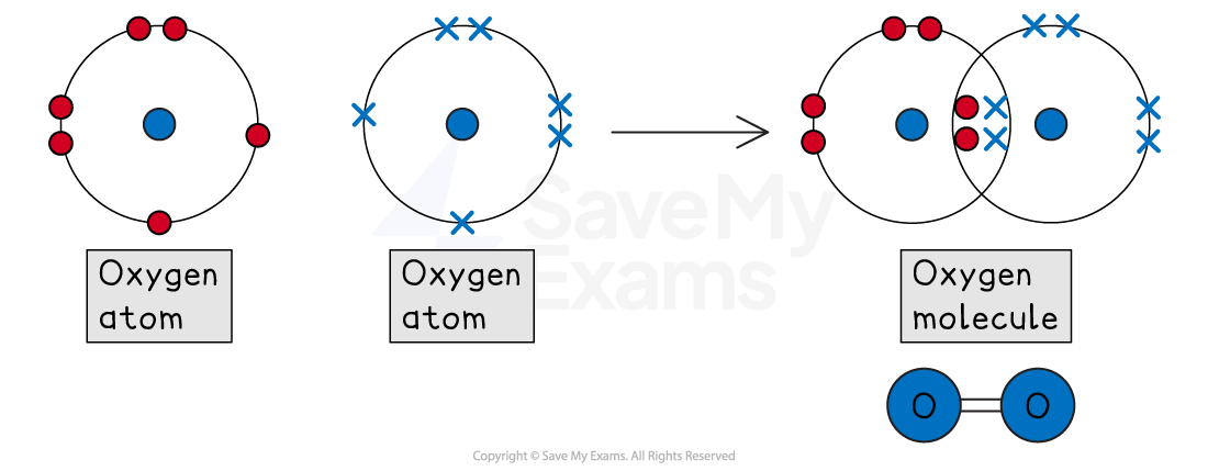Two oxygen atoms depicted with electron shells form a double-bonded oxygen molecule. Below, a simplified blue diagram illustrates the same molecule.