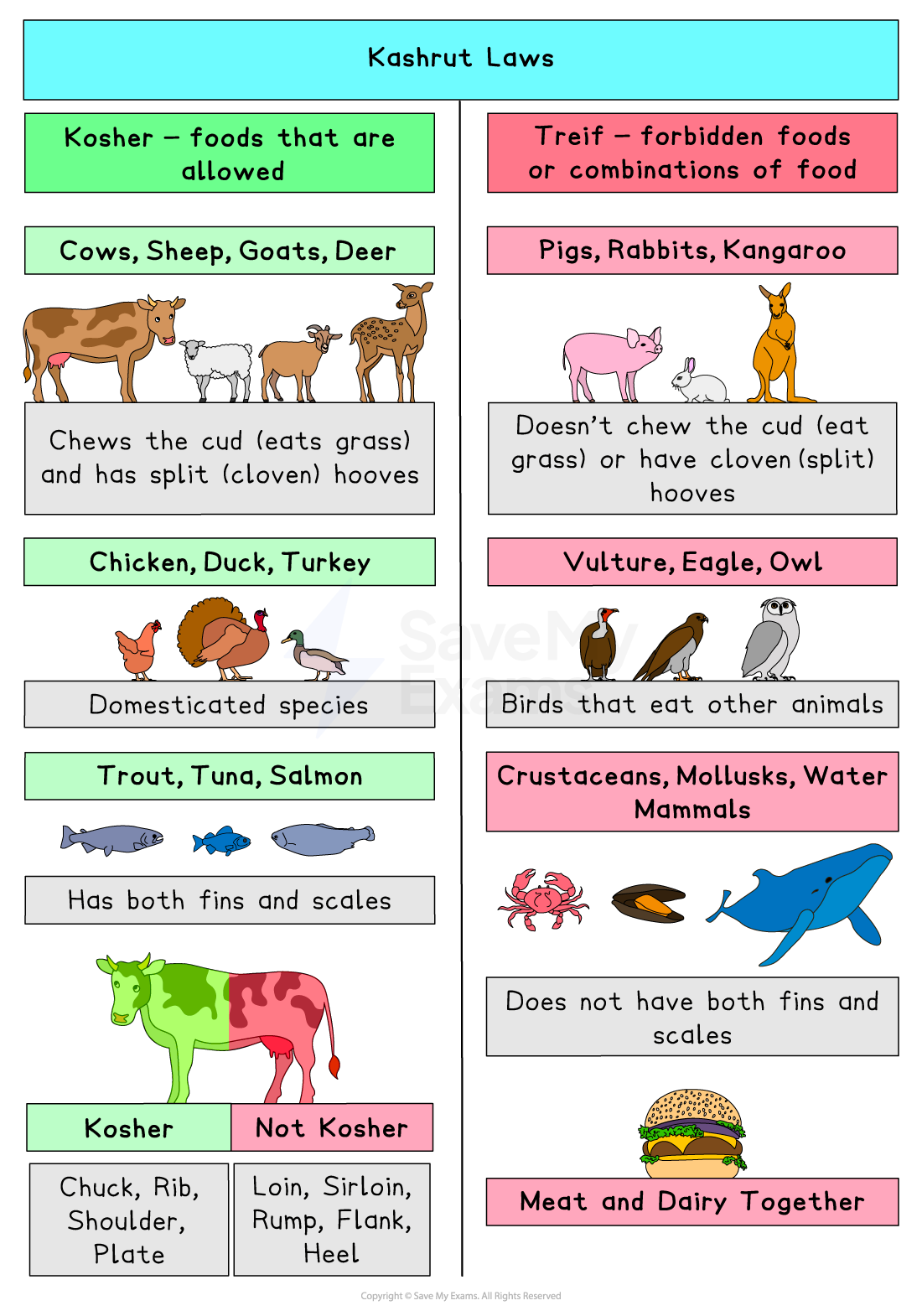 Chart of Kashrut laws showing kosher and treif foods. Kosher includes cows, chickens, and trout; treif includes pigs, vultures, and crustaceans.