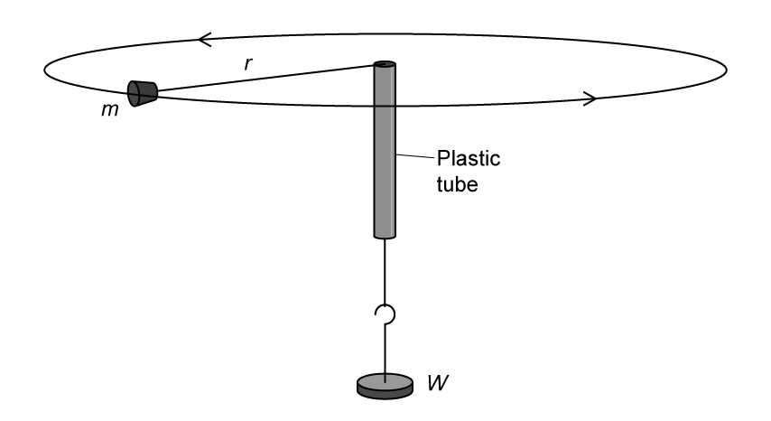 A rubber bung attached to a string spinning in a horizontal circle of radius r, with a weight W hanging vertically through a plastic tube.