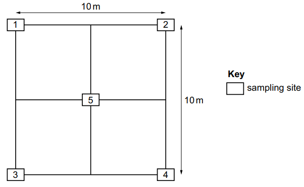 Diagram of a 10m by 10m grid with five labelled sampling sites; four at corners and one at centre. Key indicates squares represent sampling sites.