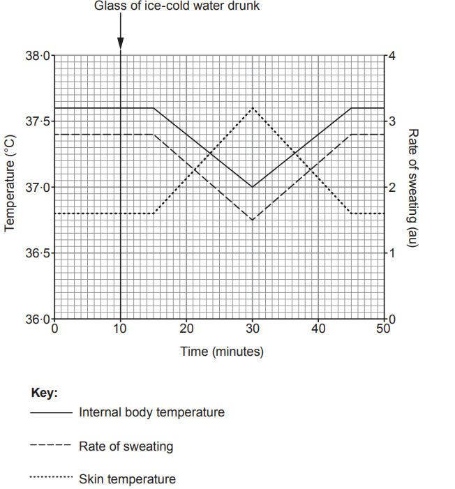 Graph showing internal body temperature, skin temperature, and sweating rate over 50 minutes after drinking ice-cold water at 10 minutes.