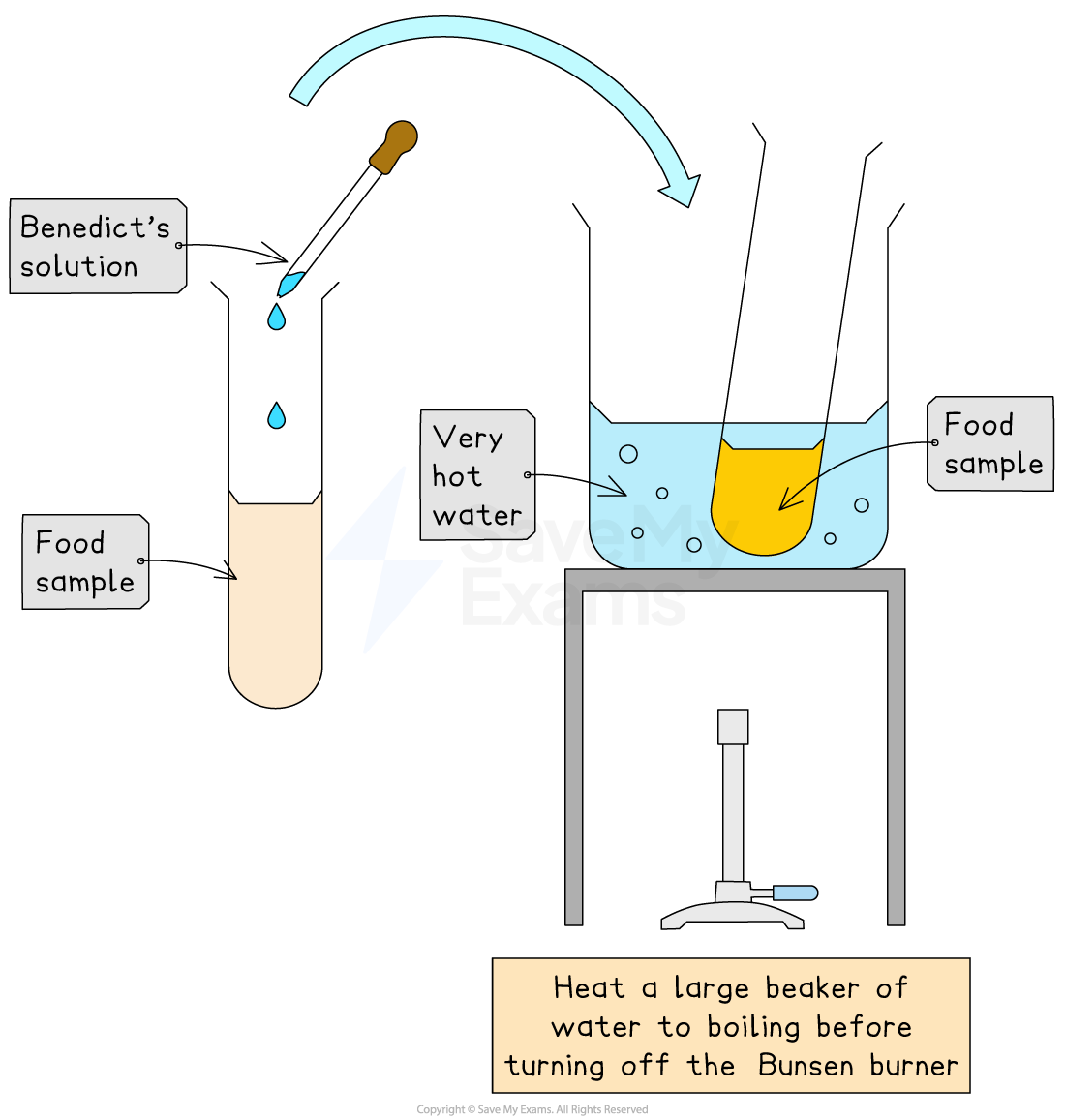 Test tube with food sample and Benedict's solution is placed in boiling water on a Bunsen burner for a colour change reaction.