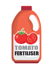 Illustration of a plastic bottle labelled "Tomato Fertiliser" with images of whole and sliced tomatoes on the front, featuring a red cap.