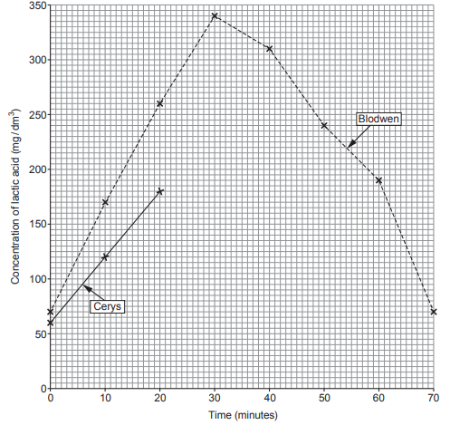 Graph showing lactic acid concentration over time with two phases labelled 'Cerys' and 'Blodwen', peaking at 30 minutes before declining.