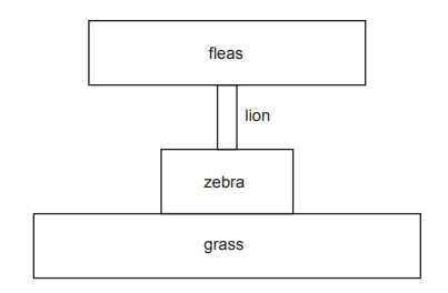 Flowchart of a food chain: grass at the bottom, zebra in the middle, lion on top, and fleas at the apex. Connections show the feeding hierarchy.