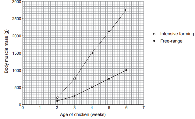 Graph comparing body muscle mass of chickens aged 0-7 weeks, showing higher growth in intensive farming versus free-range conditions.