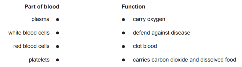 List showing parts of blood: plasma, white and red blood cells, platelets, with functions like carrying oxygen and carbon dioxide, defence, and clotting.