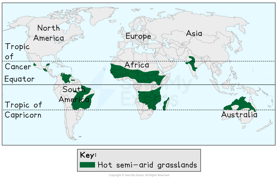 World map highlighting hot semi-arid grasslands in dark green across regions in Africa, Australia, South America, North America, and Asia.