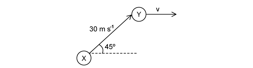 Two spheres X and Y. Sphere X moves at 30 m/s, 45 degrees upward from horizontal. Sphere Y moves horizontally at velocity v after the collision.