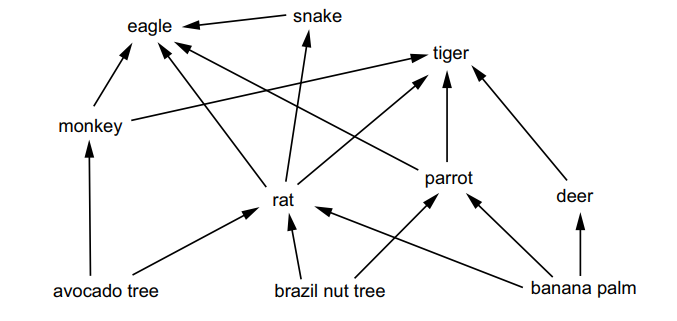 Food web diagram showing animals and trees like eagle, snake, tiger, and avocado tree connected by arrows indicating predator-prey relationships.