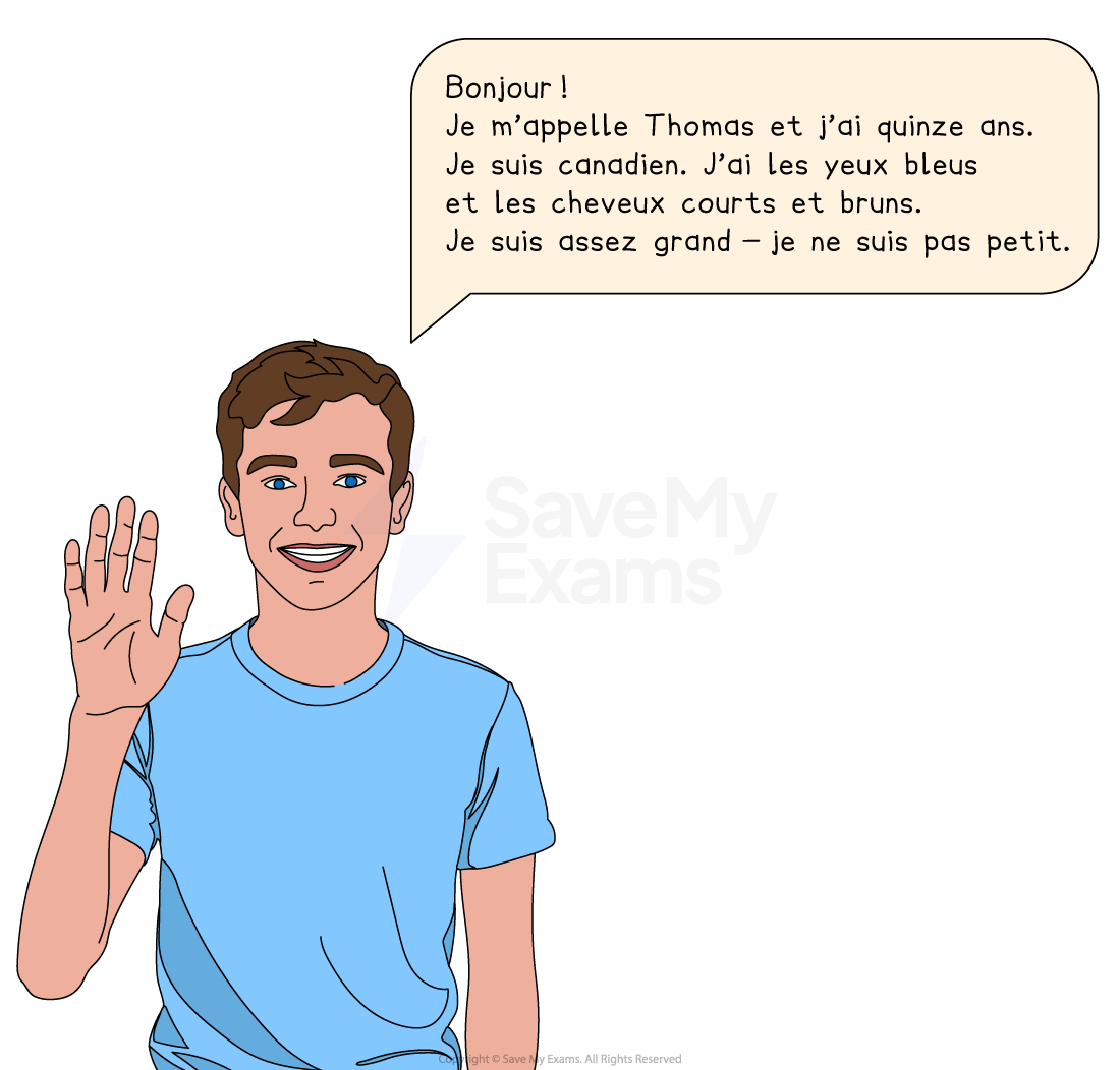 Young boy with brown hair and blue eyes waves, wearing a blue shirt. Speech bubble in French states he is Canadian, 15 years old, and tall.