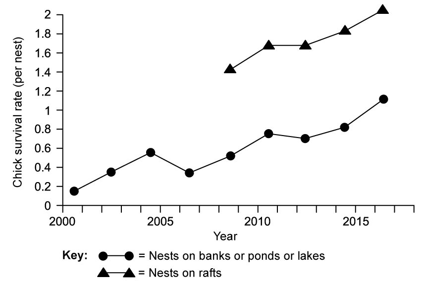 Line graph showing chick survival rates from 2000 to 2016. Circles represent nests on banks or ponds, triangles for rafts. Both rates increase over time, rafts show higher survival rates.