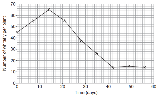 Graph showing the number of whitefly per plant over 60 days. Peaks at day 15 with 65 whitefly, then declines steadily to 15 by day 50.