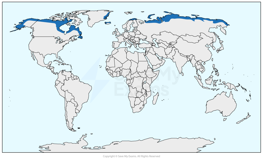 World map highlighting tundra regions in blue, including northern parts of North America, Europe, and Asia. Other areas are in grey.