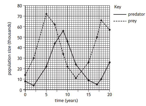 Graph showing predator-prey population cycles over 20 years. Predator numbers peak after prey peaks, both ranging from 0 to 70 thousand.
