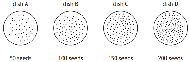 Four petri dishes labelled A to D, each containing increasing seed quantities: dish A has 50 seeds, dish B 100, dish C 150, and dish D 200.