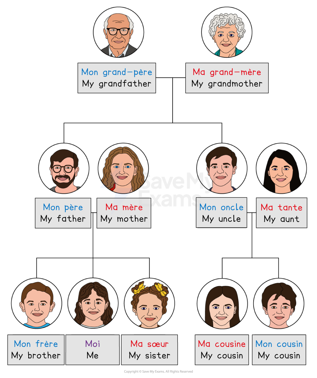 Family tree diagram showing a grandfather, grandmother, father, mother, uncle, and aunt at the top, with their children and grandchildren below.