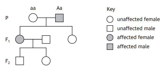 Pedigree chart showing genetic inheritance with 3 generations. Includes both affected and unaffected males (squares) and females (circles). Key provided.
