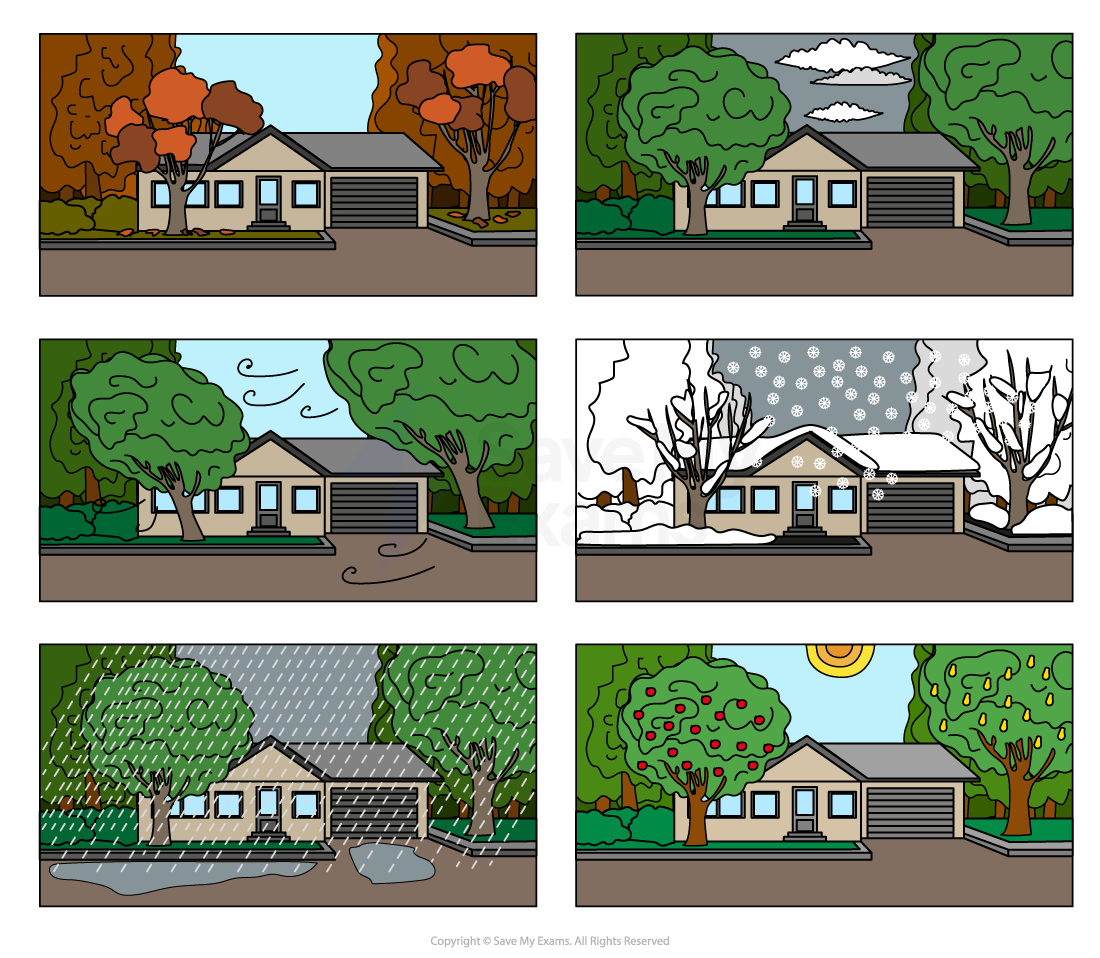 House with garden in six panels, each depicting a different season and weather: autumn leaves, cloudy, windy, snowy, rainy, and sunny with fruits.