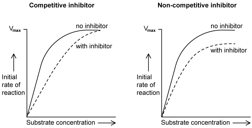 Graphs comparing competitive and non-competitive enzyme inhibition showing reaction rates versus substrate concentration with and without inhibitors.