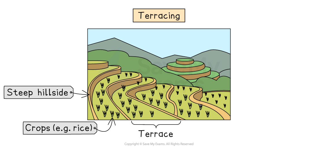 Illustration of terracing on a steep hillside with crops like rice. Labels indicate terrace formation, crops, and steepness of the slope.