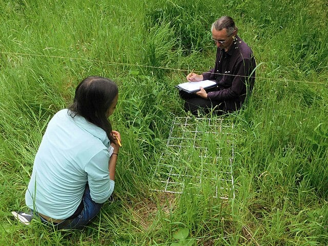 Two people conducting field research in tall grass, one taking notes while the other observes a square grid placed on the ground.