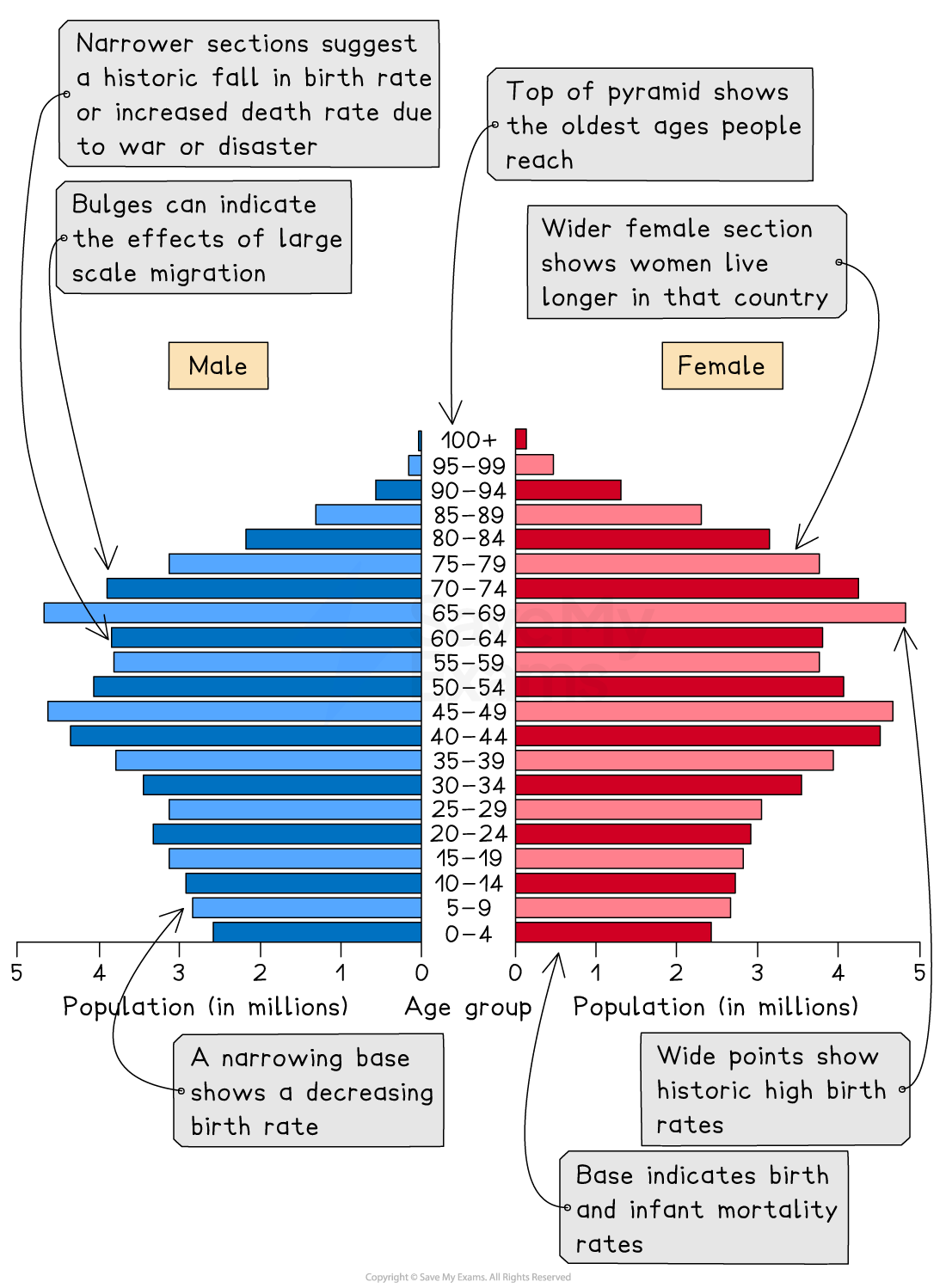 Population pyramid with blue bars representing males and red bars representing females, showing age groups, migration effects, and birth/death rate trends.