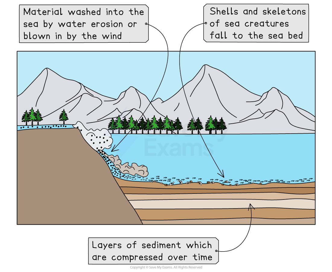 Diagram showing sedimentary rock formation with sediment layers, shells, and skeletons accumulating and compressing on the sea bed near mountains.