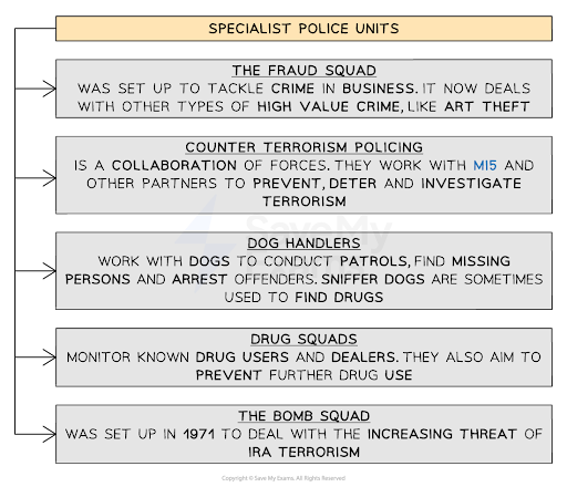 Flowchart titled "Specialist Police Units" showing five types: fraud squad, counter terrorism, dog handlers, drug squads, and bomb squad, each with descriptions.