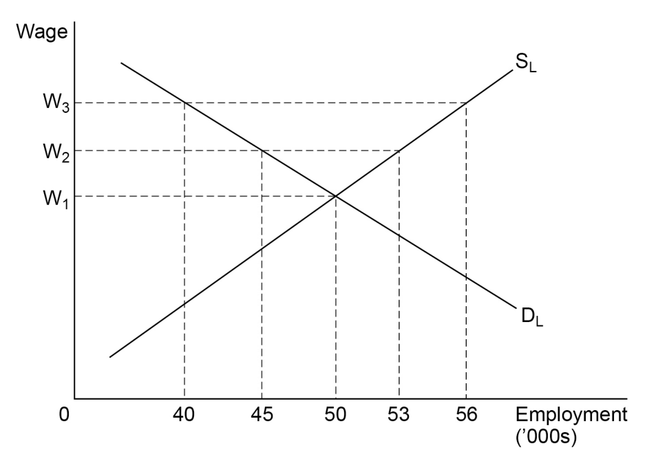 Graph showing wage vs employment demand and supply. Wage levels W1 to W3 on y-axis, employment 0 to 56,000s on x-axis, with intersecting curves.