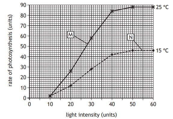 Graph showing the rate of photosynthesis versus light intensity at 15°C and 25°C. Higher rate observed at 25°C, with lines marked M and N.