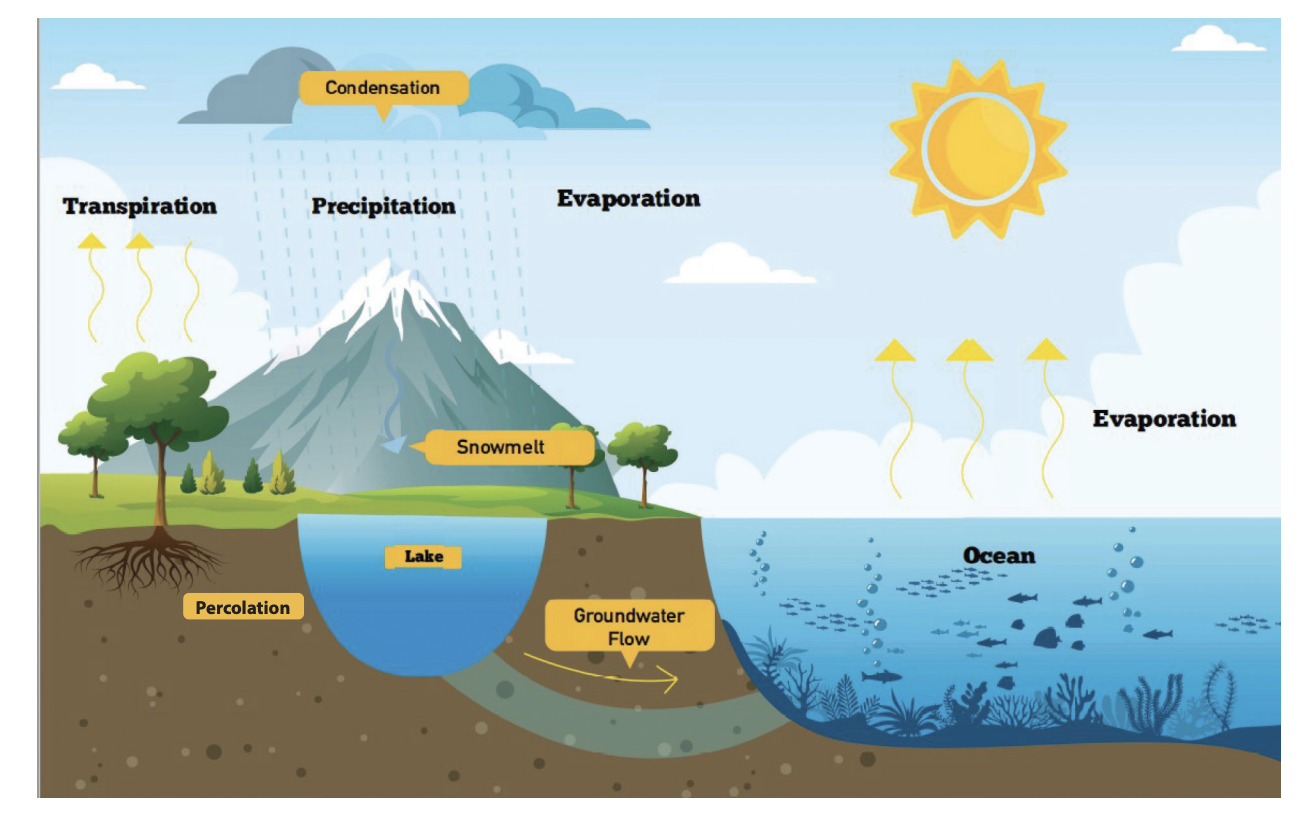 Diagram of the water cycle showing processes like condensation, precipitation, evaporation, transpiration, snowmelt, percolation, and groundwater flow.