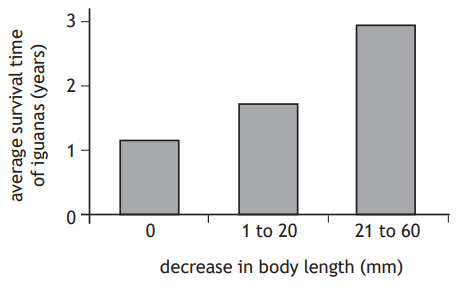Bar chart showing average survival time of iguanas. Survival time increases with a decrease in body length: 0 mm (1.5 years), 1-20 mm (2 years), 21-60 mm (3 years).