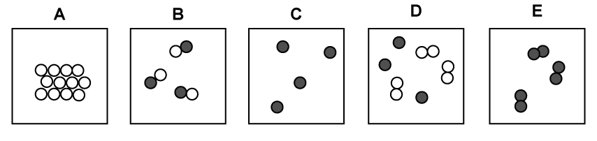 Five labelled squares A-E with different black and white circle arrangements; A is a grid, B and D have mixed pairs, C and E have scattered black dots.