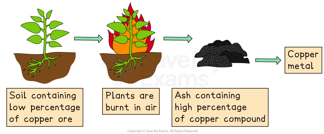Diagram showing the process of extracting copper: plants grow in low-copper soil, burned to create ash high in copper, yielding copper metal.