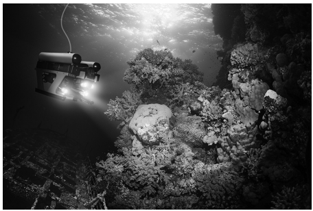 Underwater scene in black and white with a robotic vehicle illuminating coral and marine life, revealing textures and details in a dimly lit seascape.