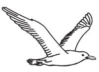 Line drawing of a seagull in flight, showcasing outstretched wings and streamlined body, facing right, with clear outline details.