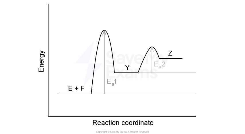 Graph showing energy vs. reaction coordinate. Peaks labelled Ea1 and Ea2 indicate activation energies.