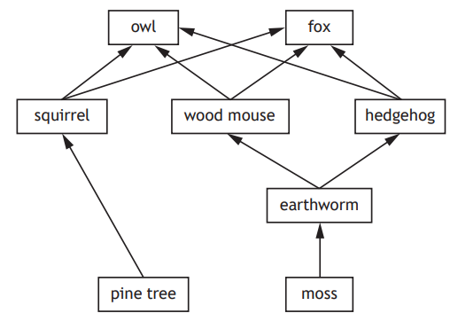 Food web diagram showing pine tree and moss as primary producers, with earthworm, squirrel, wood mouse, hedgehog, owl, and fox as consumers.