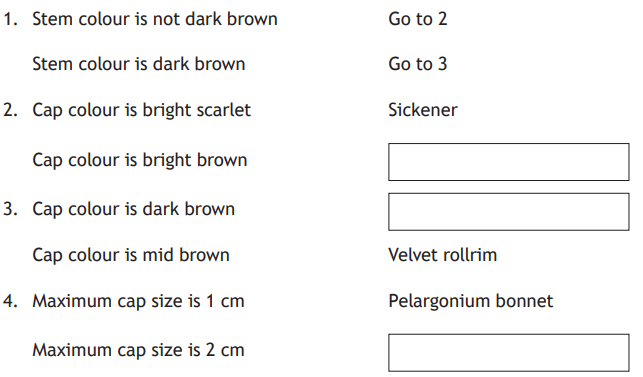 Flowchart describing mushroom identification steps based on stem and cap colour, and cap size, leading to names like Sickener and Velvet Rollrim.