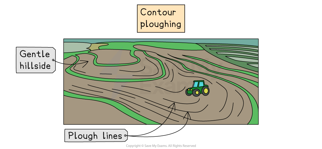 Illustration of contour ploughing on a gentle hillside with labelled plough lines and a tractor, demonstrating soil conservation techniques.