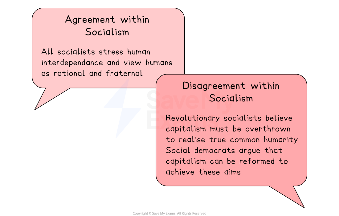 Two speech bubbles: one outlines socialist agreement on human interdependence, the other details disagreements on overthrowing versus reforming capitalism.