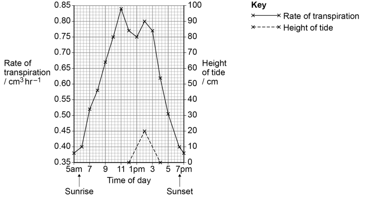 Graph showing rate of transpiration and tide height from 5 am to 7 pm. Transpiration peaks at 11 am, tide height peaks at 1 pm. Sunrise and sunset marked.