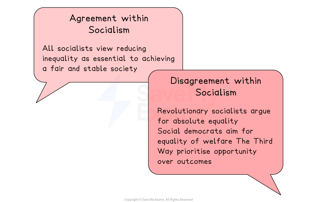 Two speech bubbles on socialism: one highlights agreement on reducing inequality; the other shows disagreement on equality versus opportunity.