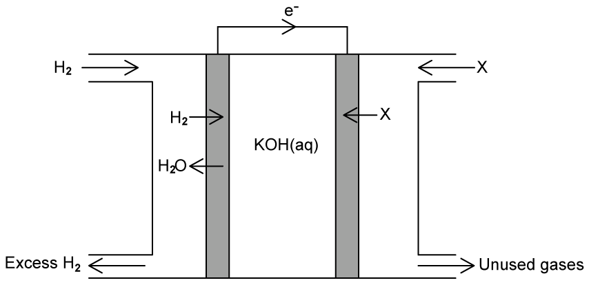 Diagram of a hydrogen fuel cell showing flow of hydrogen and water into a KOH solution; X gas exits, with electrons flowing at the top.