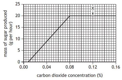 Graph showing mass of sugar produced versus carbon dioxide concentration. Sugar production increases linearly to 20 g/hour at 0.10% then levels off.