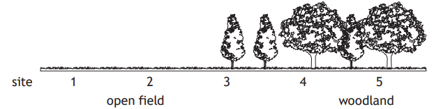 Diagram showing a transition from an open field at site 1 to woodland at site 5, with trees gradually increasing from sites 3 to 5.