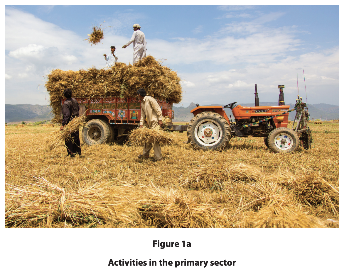 Farmers loading up a cart with straw