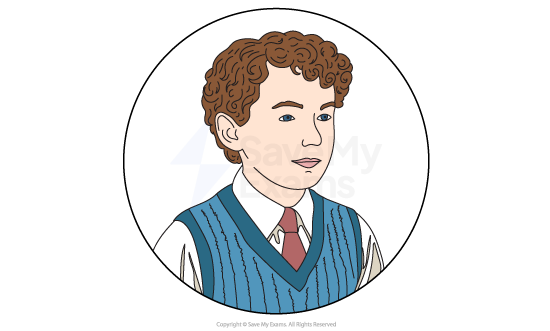 Illustration of a boy with curly brown hair wearing a blue knitted vest over a white shirt and red tie, set within a circular border.